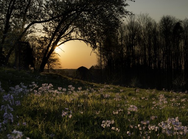 весна вечер