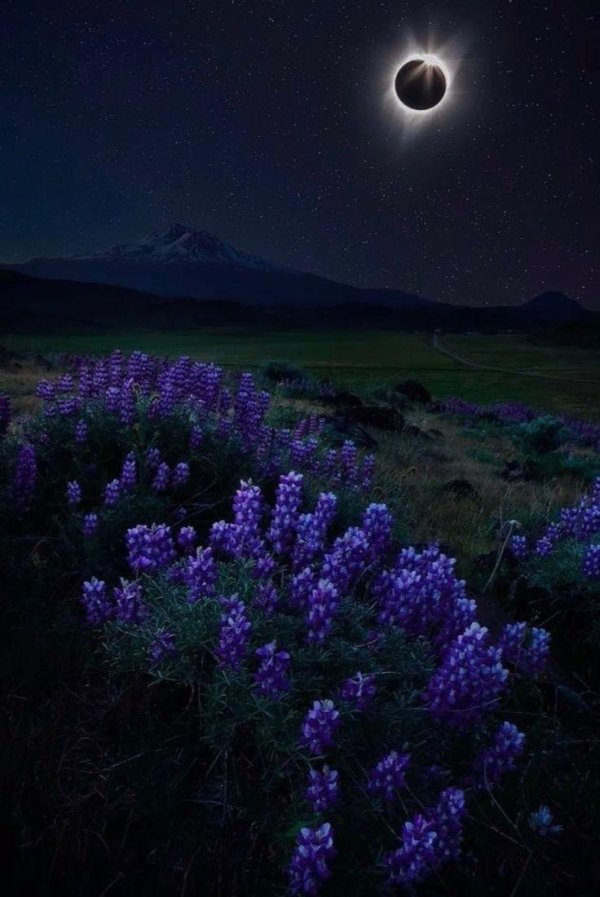 фотографии ночного неба