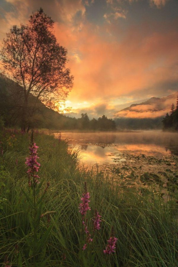 рассвет над озером картинки