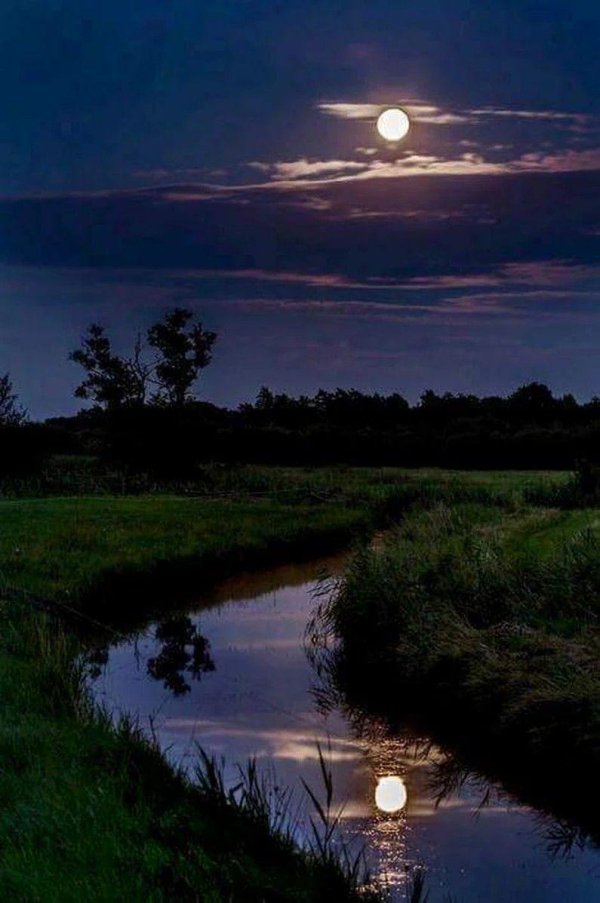 луна над озером