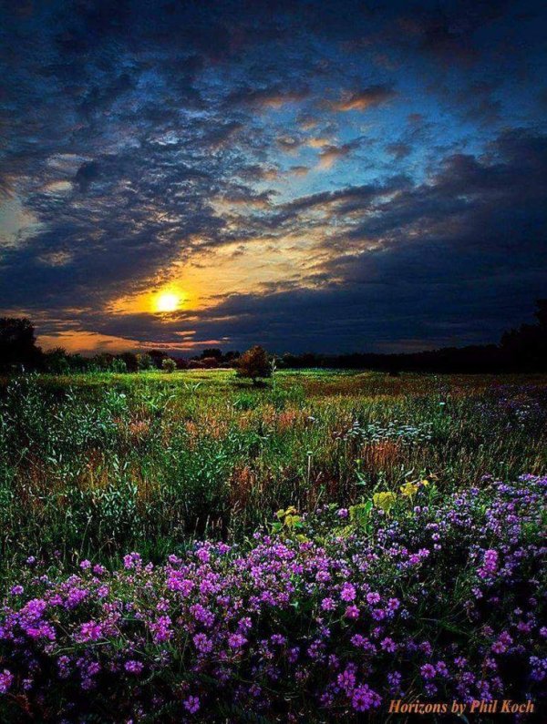 красивое поле с закатом