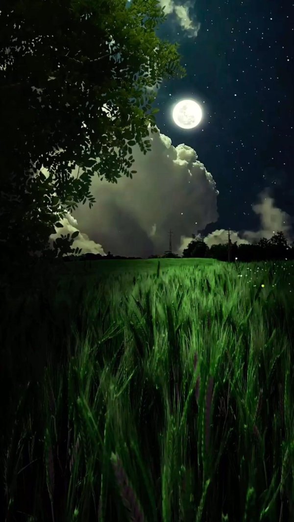 пейзажи красивые