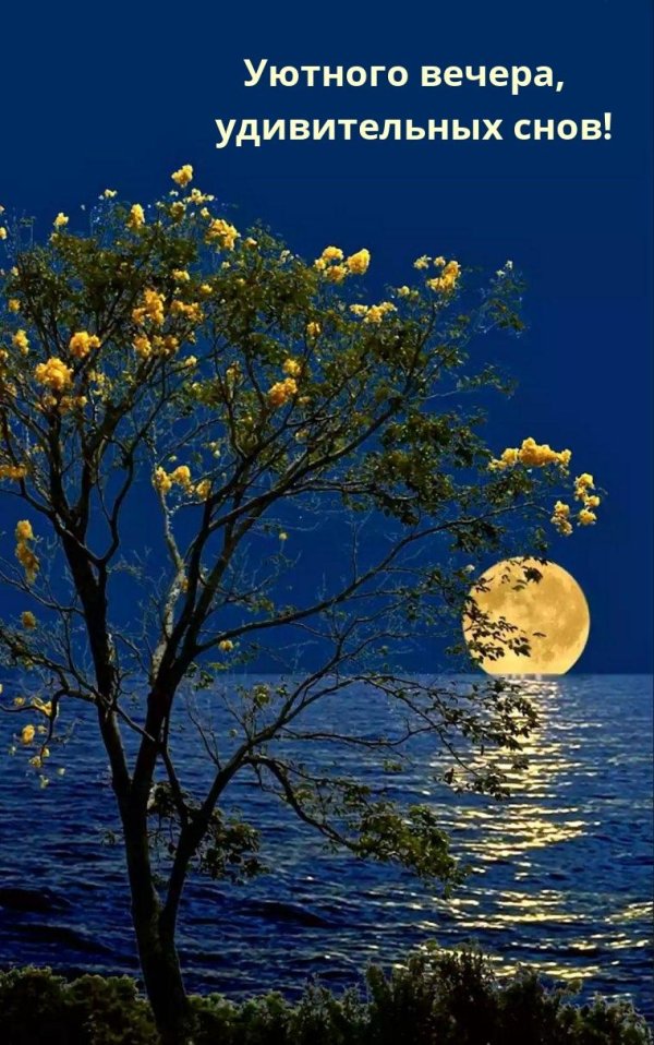 весенней ночи