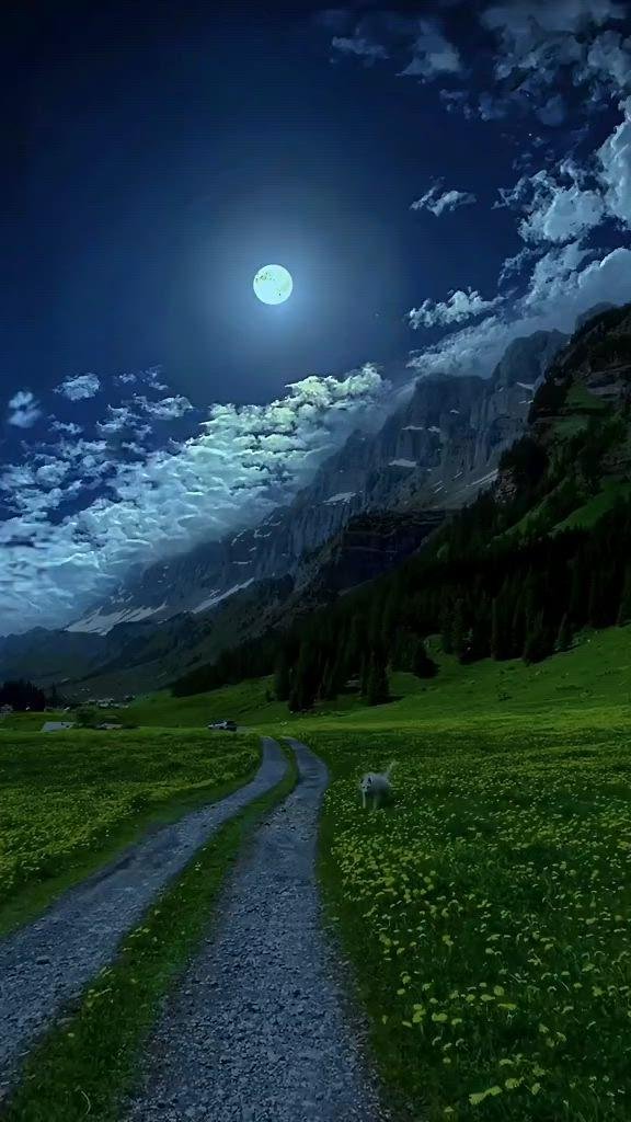 живописные пейзажи