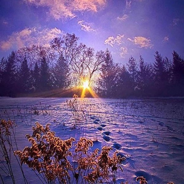 рассвет зимой