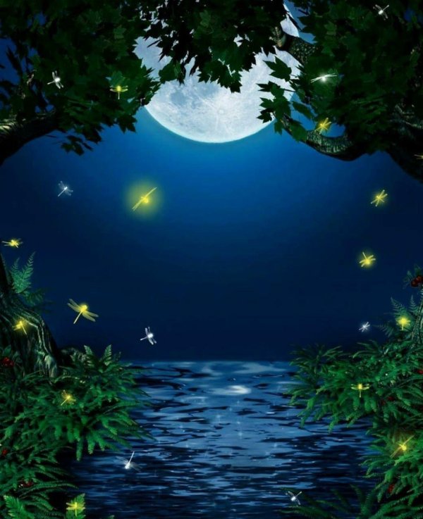 ночь прекрасна