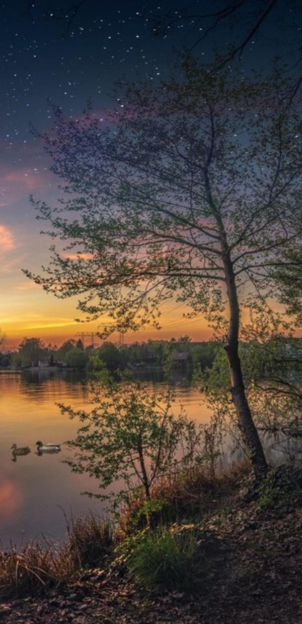 вечерние пейзажи