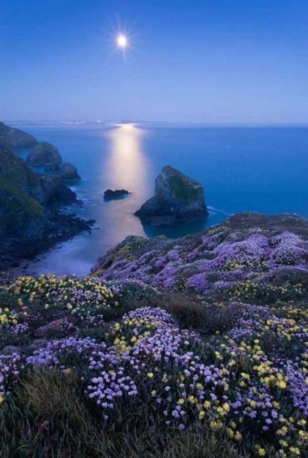 красивейшие пейзажи