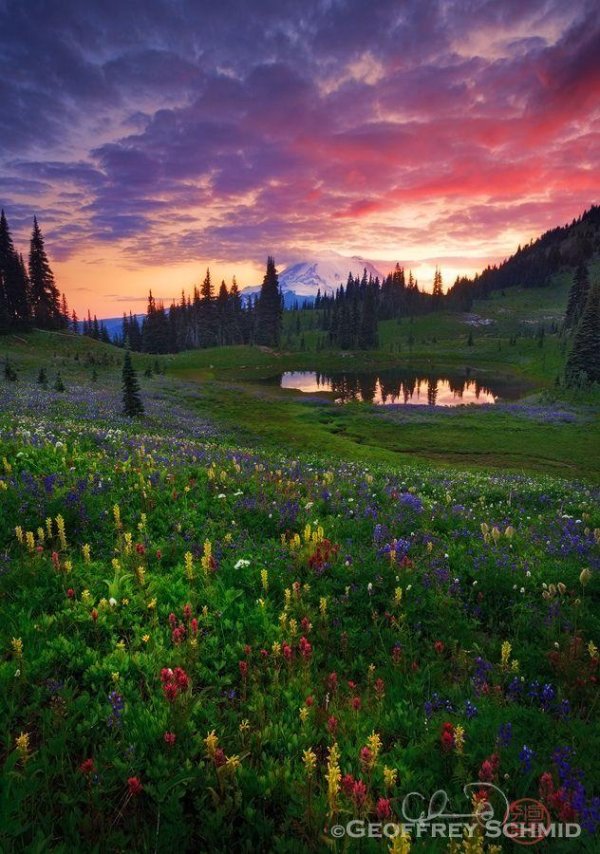 национальный парк маунт рейнир