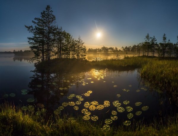 федор лашков пруд