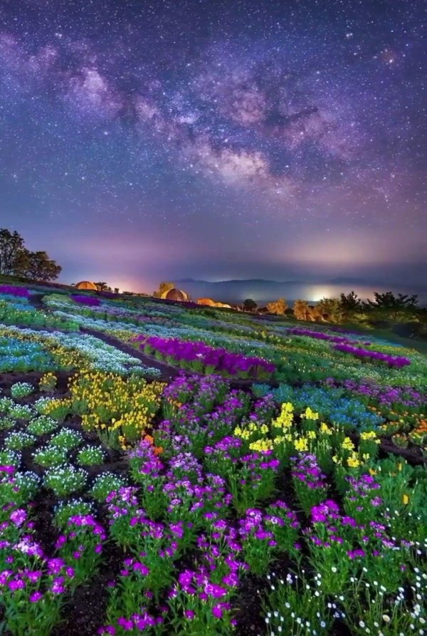 фиолетовый пейзаж