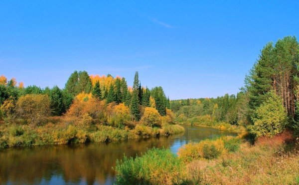 йошкарола заповедник большая кокшага