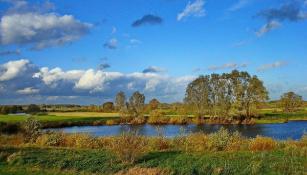 вологда берег реки равнина