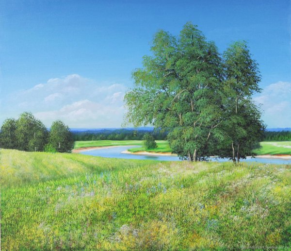 летний пейзаж с рекой 1870 г каменев