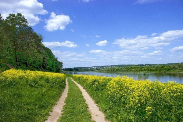 река ока таруса