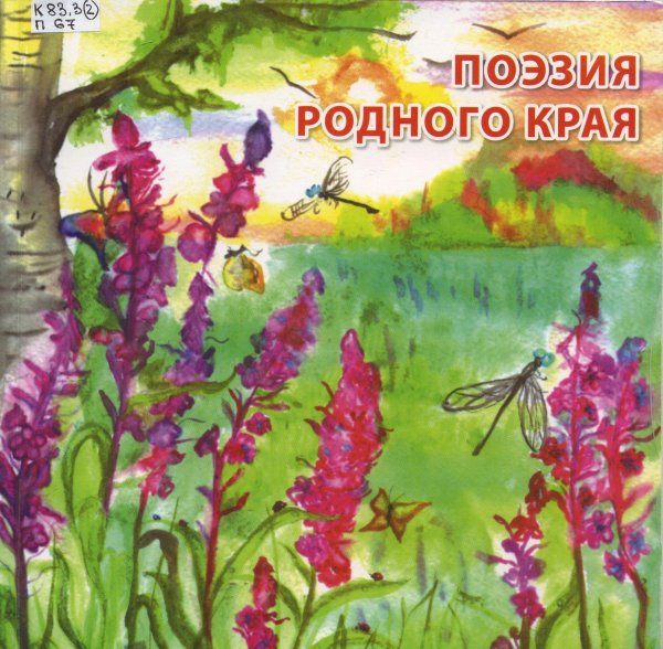 иван чай кипрей акварель