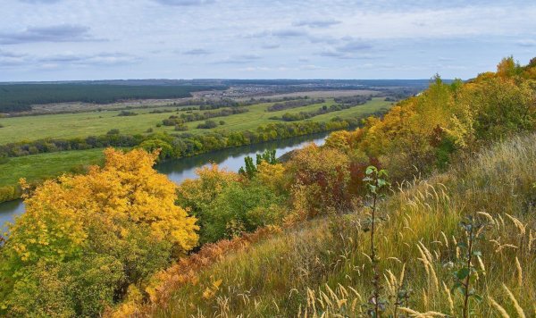 каменский район тульской области