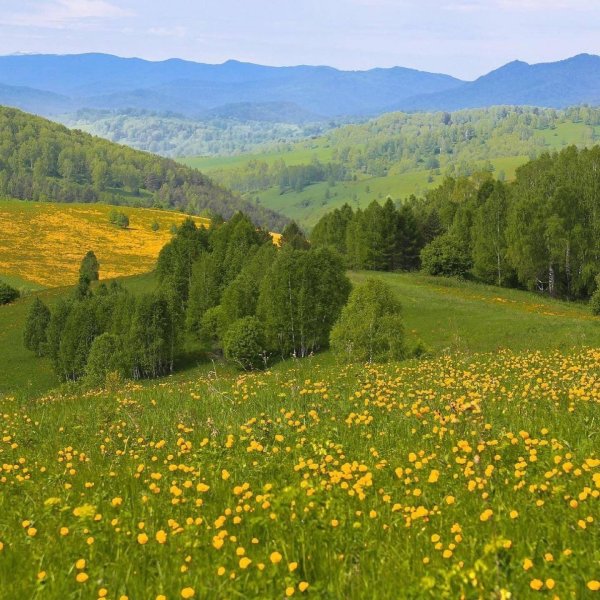 горы закаменского района