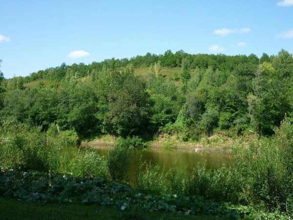 речка пьяна нижегородская область