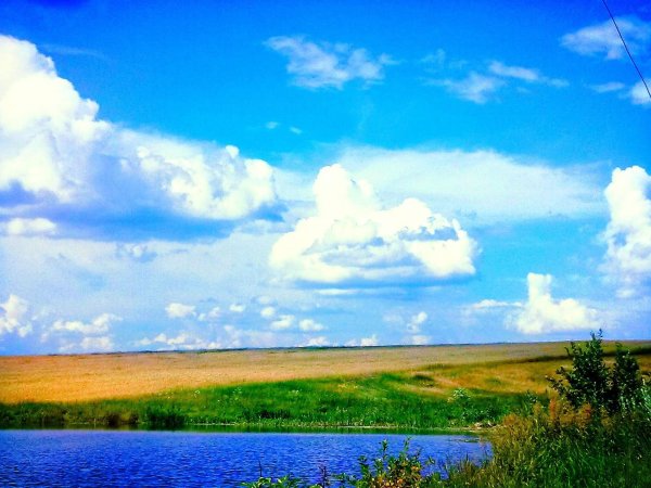 степь дергачевский район