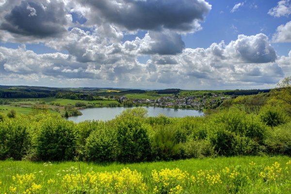 озеро в поле