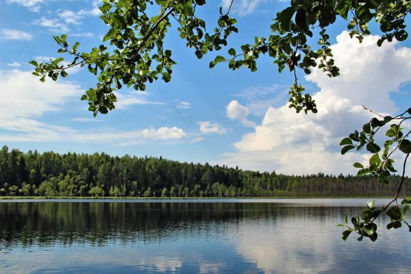 национальный парк нарочанский беларусь