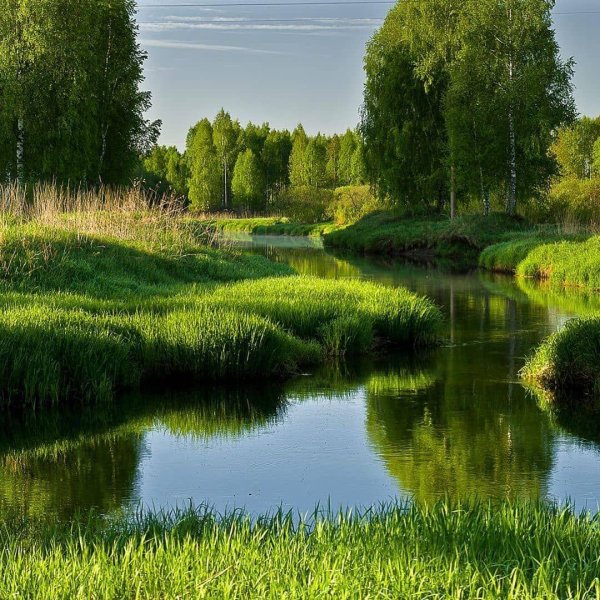 красота российской природы