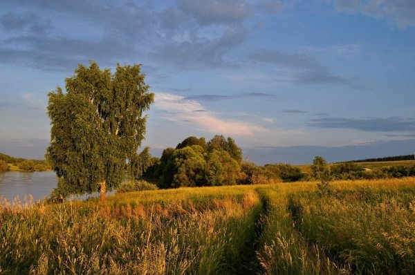село окшово меленковский район
