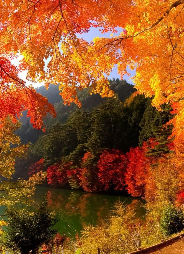 красивой осени