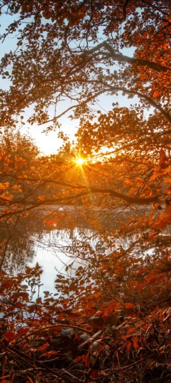 осенний рассвет