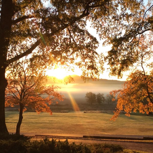 осеннего утра