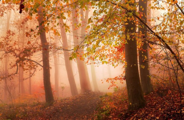 осенняя атмосфера