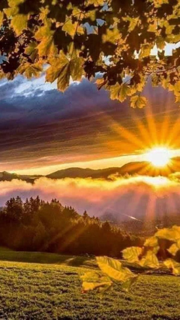 осеннее солнце