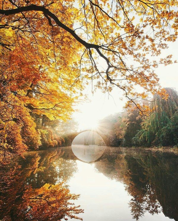 осенние пейзажи