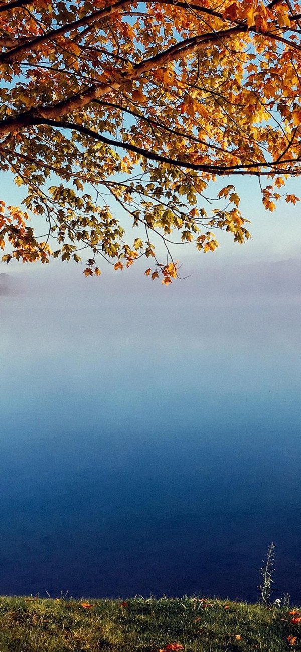 доброе осеннее туманное утро