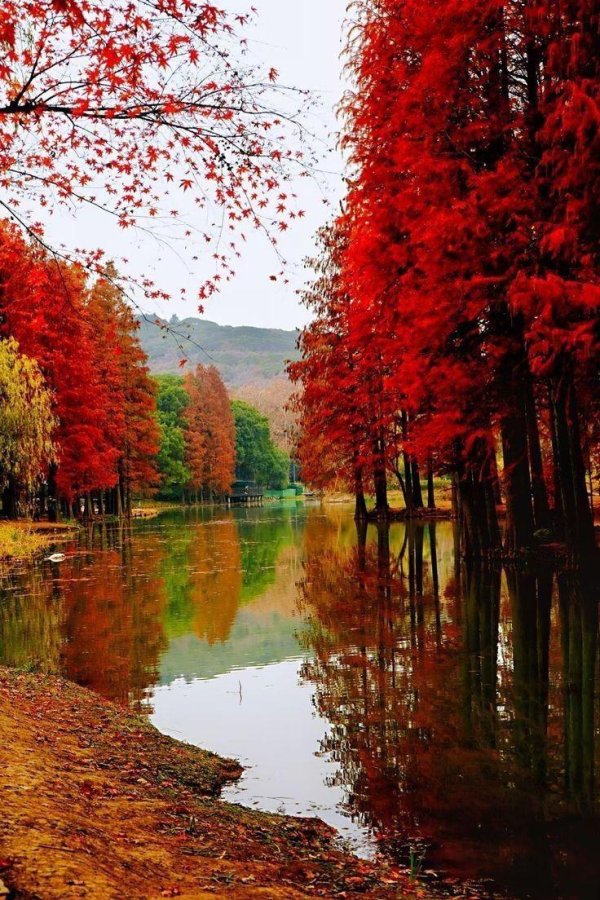 природа осенняя