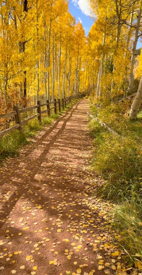 осенние пейзажи