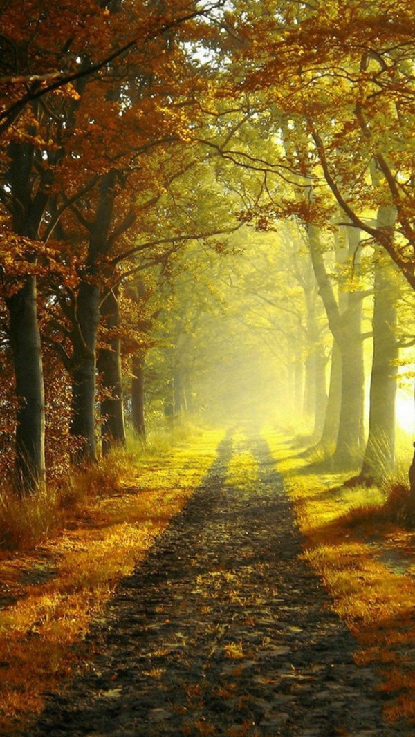 осенние пейзажи