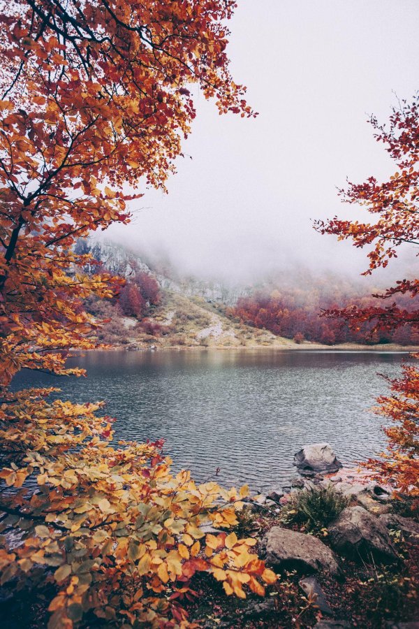 природа осенняя