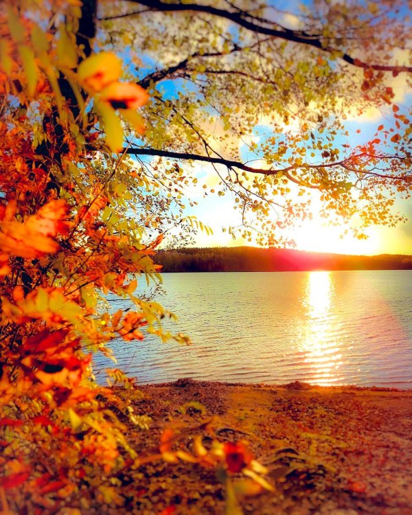 закат осенний