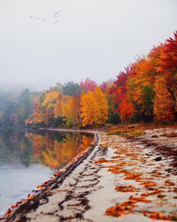 осенние пейзажи