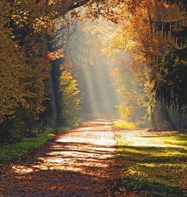 осенний рассвет