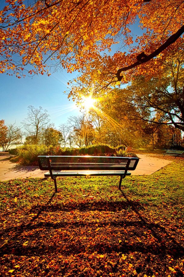 осенний парк