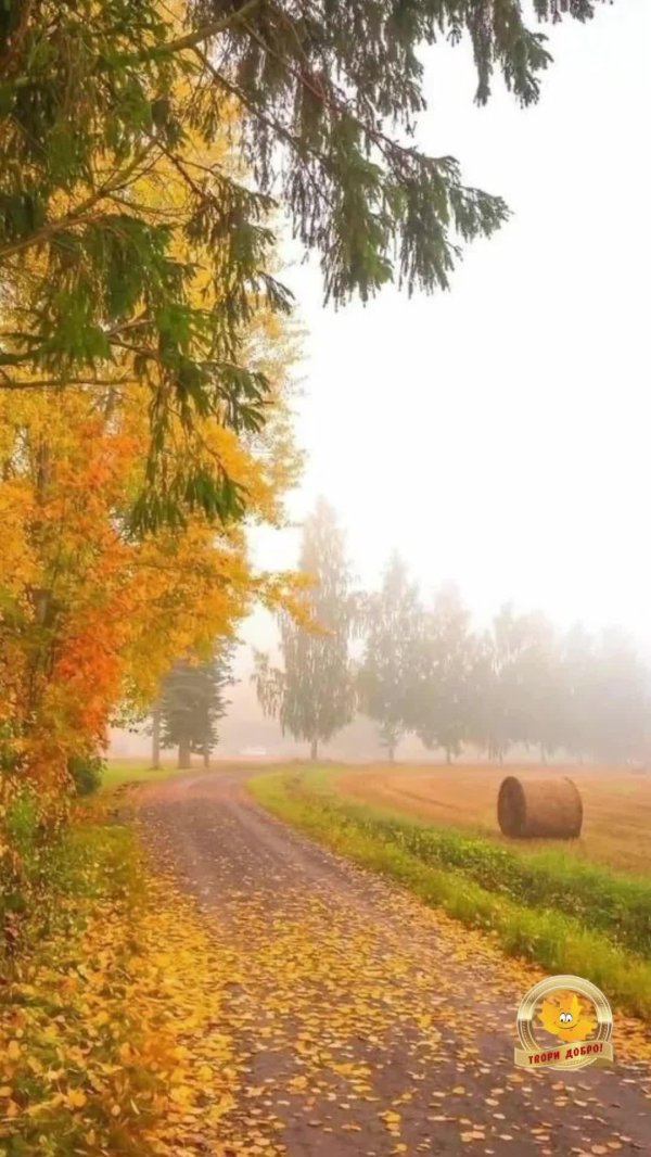 природа осенью