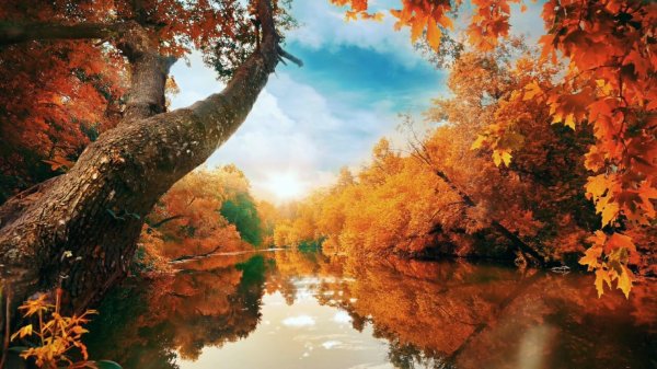 осенние пейзажи