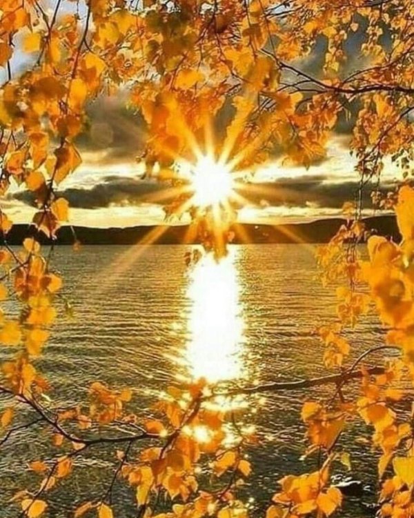 осеннее солнце