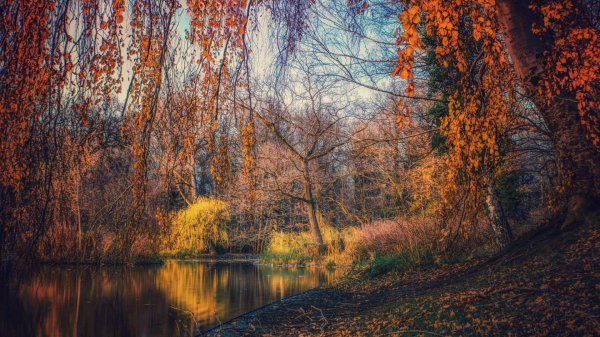 красивые осенние