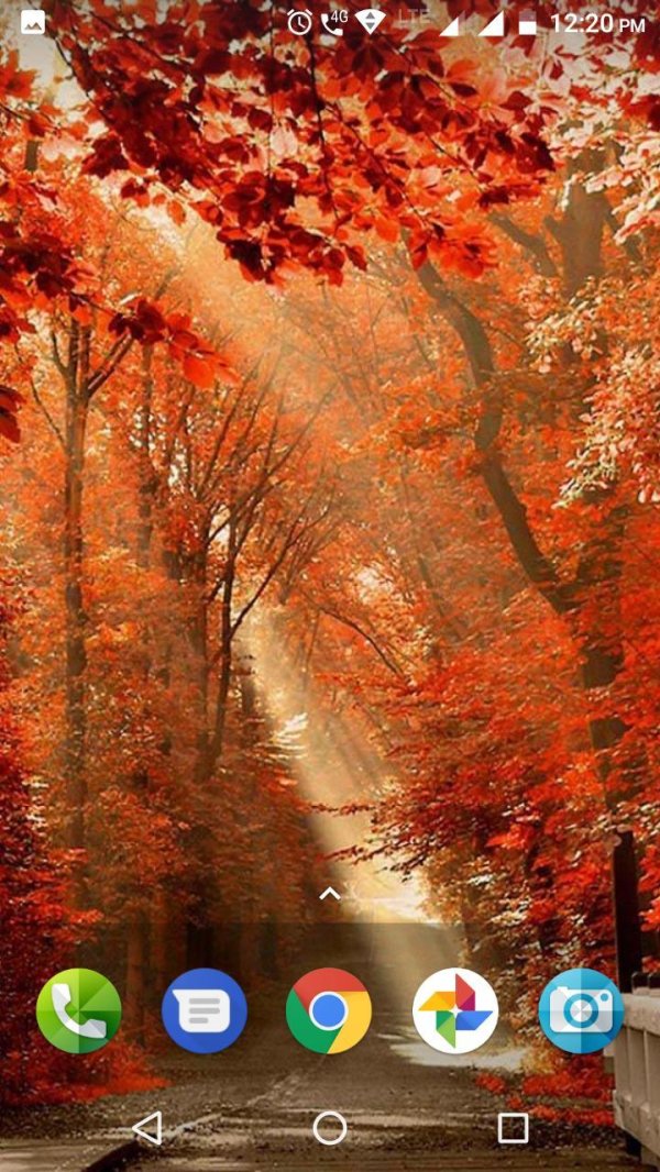 осенние пейзажи