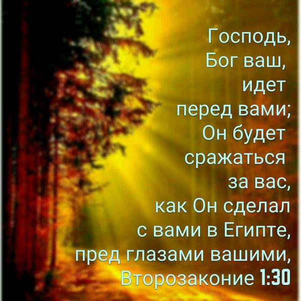 библейские стихи