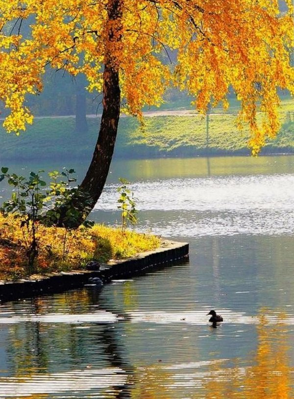 осенние пейзажи